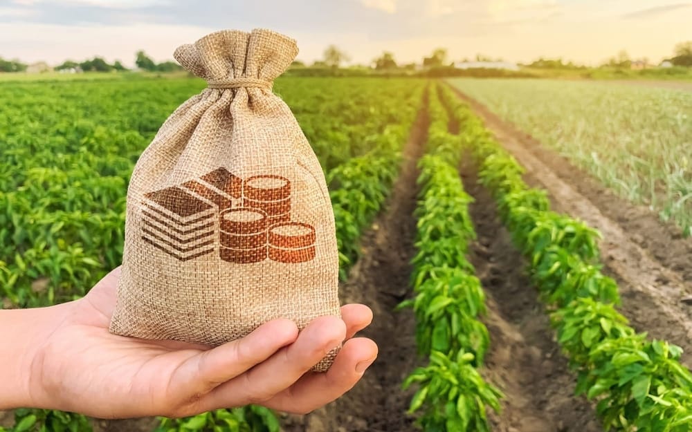 Фермеры КР получили свыше 3 тысяч льготных кредитов почти на 1.25 млрд сомов по проекту «ФСХ-12» изображение публикации